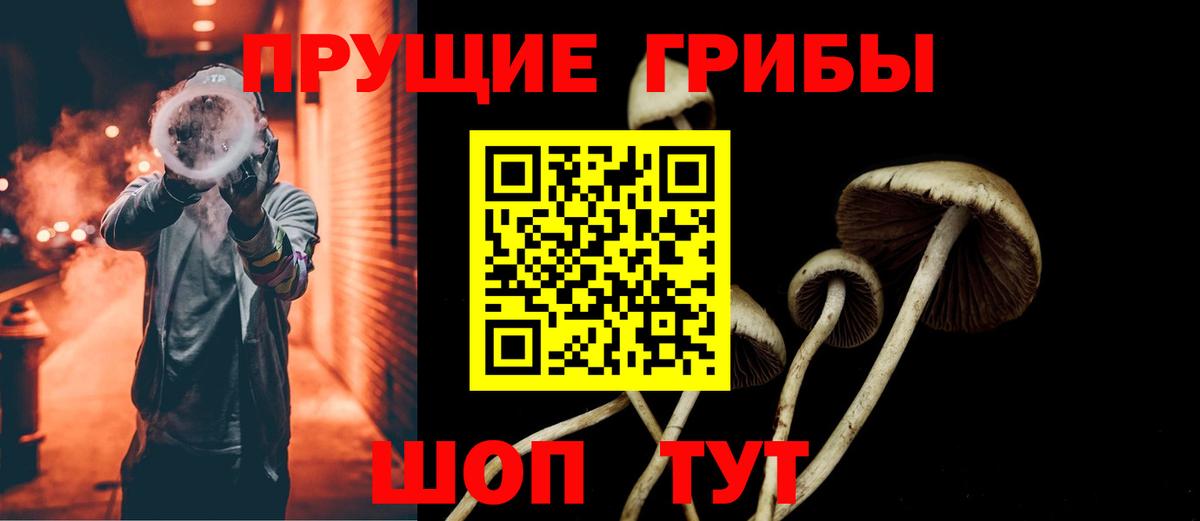 Галлюциногенные грибы прущие грибы Альметьевск